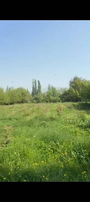 участки дачные: 20 соток, Для строительства, Тех паспорт, Договор купли-продажи, Красная книга — 3