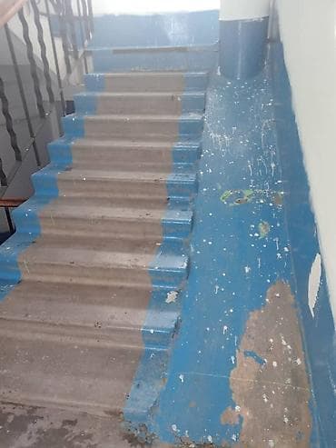 Лакокрасочные материалы: Больше 6 лет опыта — 6