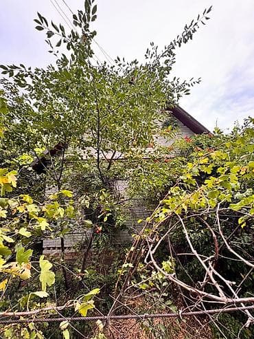 загородные домики бишкек: Продается Дача «СТ Норус» 5 соток Красная книга Тех паспорт Село — 2