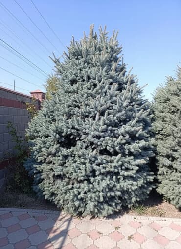 Декор для дома и сада