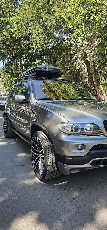 BMW X5: 2004 г., 4.4 л, Автомат, Бензин, Кроссовер