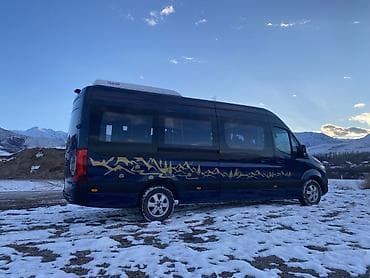 ленивец на даф: Пассажирский микроавтобус Mercedes‑Benz Sprinter 315 CDI (сине‑темный — 3