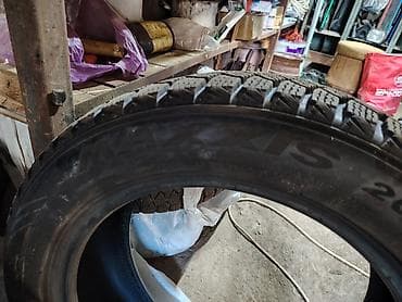 255 65 19: Зимние шины Maxxis 205/55 R16 - Размер: 205/55 R16 (индекс R — — 2
