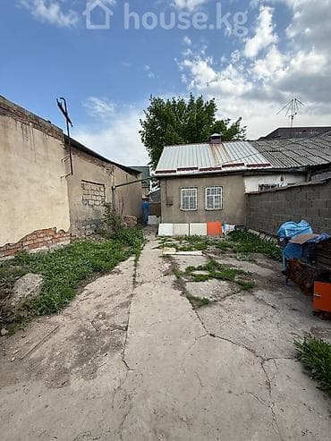 пишпек: 3 соток, Красная книга, Тех паспорт — 3