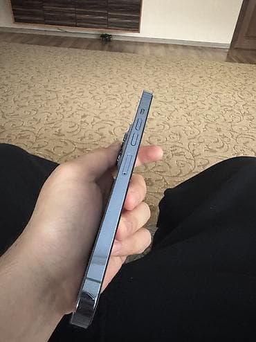 IPhone 13 Pro Max, 256 ГБ, Серебристый, Кабель