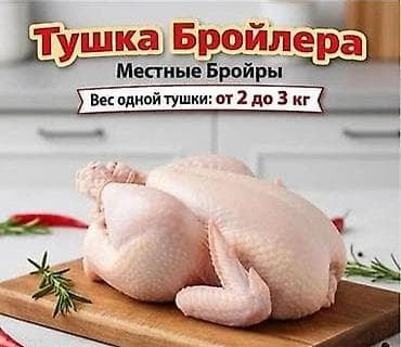 мясо с доставкой бишкек: Үй тооктору сатылат! 🐔 ​Биз табигый азыктар менен багылган, адал — 1