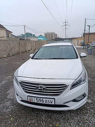 пасат б5 1 6: Sanata,Grandaver
сдаётся в аренду 
в идеальном состоянии — 8