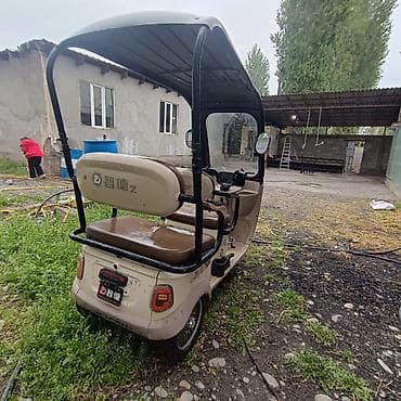 электрон скутер: Электрический трёхколёсный пассажирский трицикл (рикша) - Компоновка — 2