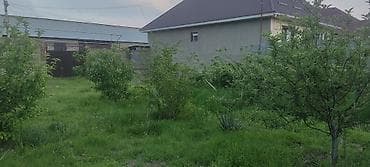 sky park: 6 соток, Для строительства, Красная книга — 2