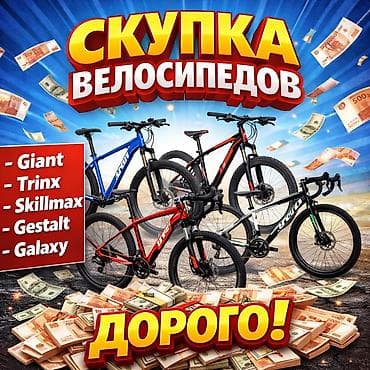 камера велосипеда: Скупка велосипедов
Дорого! — 1