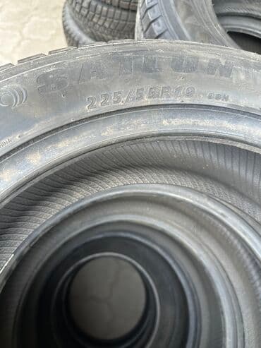 новые резины: Шины 225 / 55 / R 19, Зима, Новый, Комплект, Легковые, Китай, Sailun — 2