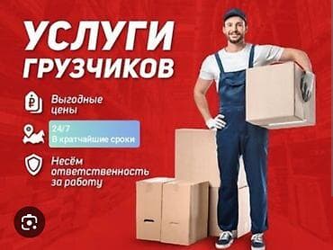каменшик: Грузчик. Больше 6 лет опыта — 1