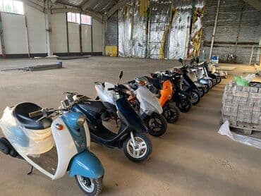 куплю электро инструмент: Тип скутера Honda, 50 куб. см, Бензин, Б/у — 6