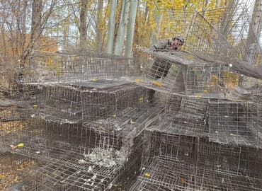 оборудование для типографии: Срочная продажа Клетки для птицы с ниппельным поением — на 3300+ кур! — 1