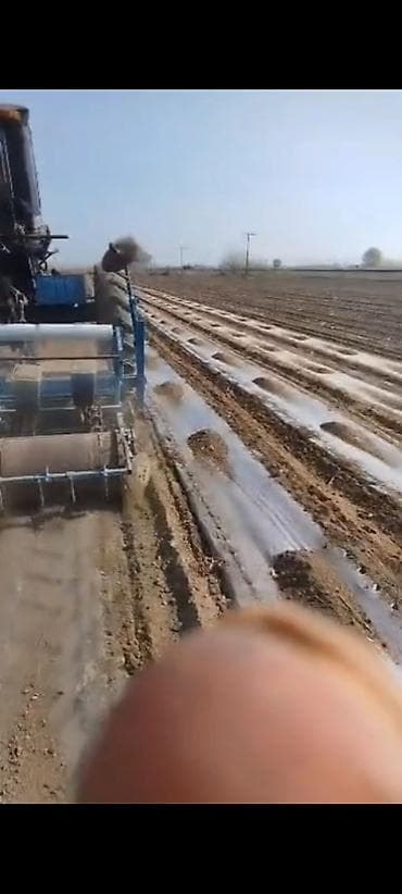 фреза пластик: Сеялка для хлопка. 4 рядный размер 60 Назначение: - Одновременное — 2