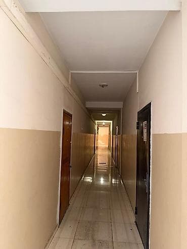 1000: 2 комнаты, 31 м², Евроремонт — 6