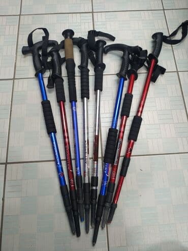 клинок рассекающий демонов тренировка столпов бишкек: Треккинговые трекинговые палки в аренду Скандинавские палки 180 в — 2