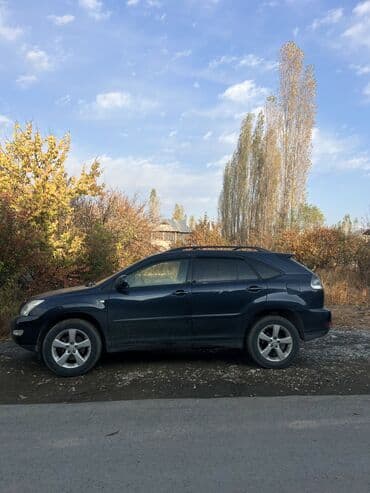 Lexus RX: 2004 г., 3 л, Автомат, Бензин, Кроссовер — 4