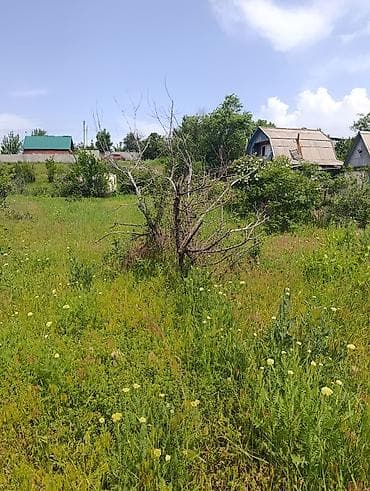 Недвижимость: 5 соток, Для строительства, Красная книга — 7