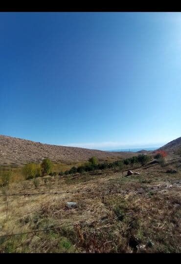 меняю на скот: Продается действующий бизнес кашар вместе с садом для разведения скота — 13