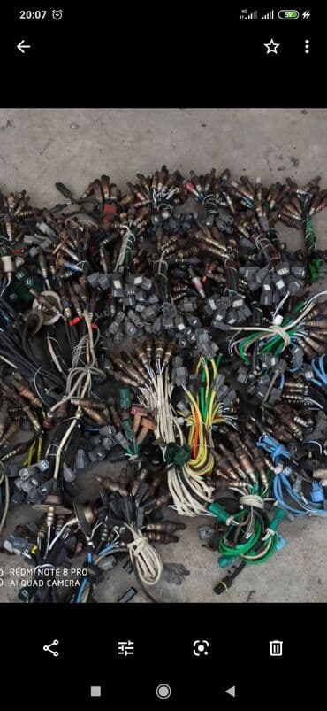 помощь в получении гражданства рф в бишкеке: Лямбда зонды лямбда зонды лямбда зонды на все марки машин горантия — 1