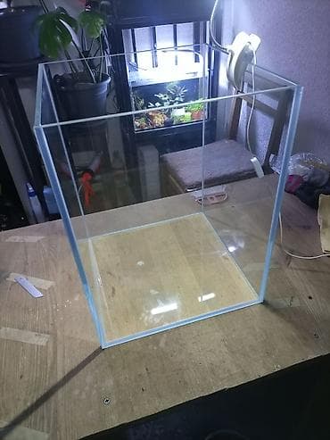 купить сомика в аквариум: Изготовление аквариумов, флорариумов, палюдариумов, проточных фильтров — 2