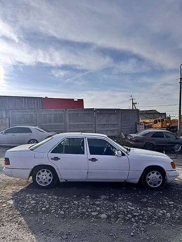 гибрид авто: Mercedes-Benz W124: 1991 г., 2.6 л, Автомат, Бензин, Седан — 4
