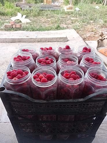 Жер-жемиштер: Малина Өзү алып кетүү, Акылуу жеткирүү — 3