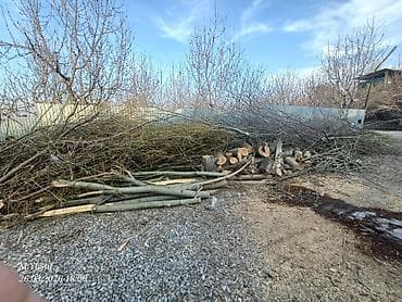 продаю дерево: Дрова Самовывоз — 2