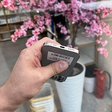 IPhone 16 Pro, Колдонулган, 256 ГБ, Natural Titanium, 88 % — 6