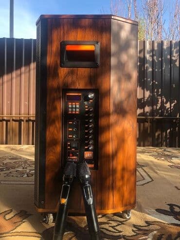 акустические системы jarre technologies колонка банка: АРЕНДА КОЛОНКИ ПОДХОДИТ НА ВСЕ МЕРОПРИЯТИИ ЗВУЧИТ ЧИСТО И ГРОМКО — 3