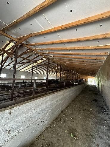 продаю ферма: 2400 соток, Для сельского хозяйства, Договор дарения — 3