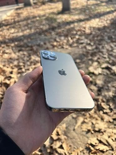 IPhone 12 Pro, Графит