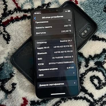 ai box: IPhone X, Б/у, 256 ГБ, Черный, Чехол — 4