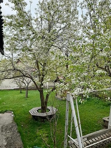 .Отдых с 10.00 до 20.00.в яблоневом саду. 11км от кольца