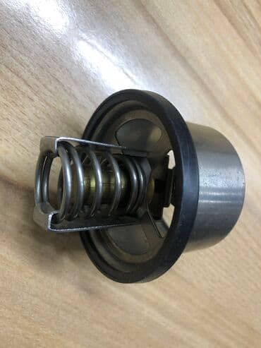 экономичные газовые котлы цены: Термостаты ( термостат) на грузовое авто даф, Вольво, ман, скания — 6