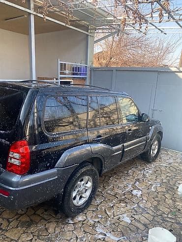 santa fe: Hyundai Terracan: 2004 г., Автомат, Дизель, Внедорожник — 5