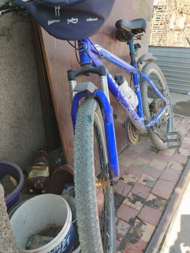 Искусство и коллекционирование: Горный велосипед, Trinx, Сталь, Б/у — 1