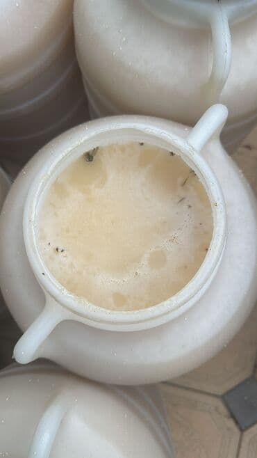 фарель ош: Токтогулский горный мёд — 5