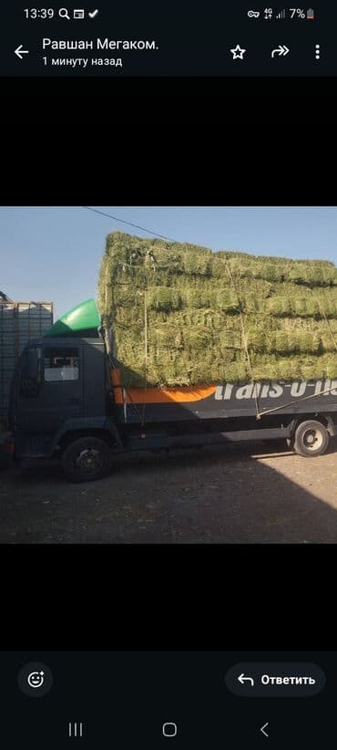 топлинный бак: Жүк ташуучу унаа, MAN, Стандарт — 7