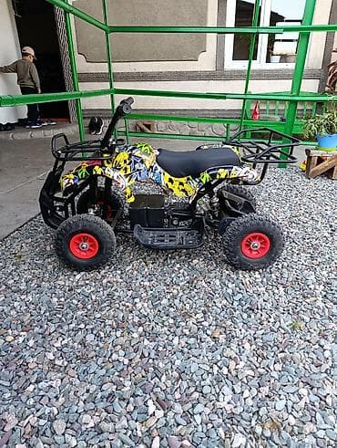 мотолор: Детский бензиновый квадроцикл 49/50 см³ с ярким граффити-пластиком - — 3