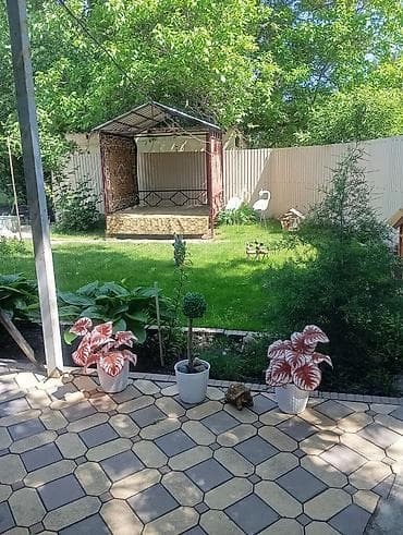 село тон: Продаётся или обмен на 3‑комнатную квартиру в центре города с доплатой — 3