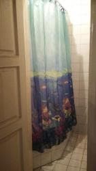 дом с баней и бассейном: Дом, 200 м², 6 комнат, Собственник, Косметический ремонт — 8