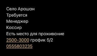 Вакансии в селе Арашан: - Менеджер - Кассир Есть место для at lalafo.kg Вакансии в селе Арашан: - Менеджер - Кассир Есть место для