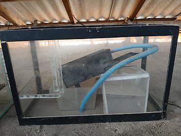 фильтр для аквариума бишкек: Аквариумы/террариумы из стекла с крышками и элементами оборудования — 2