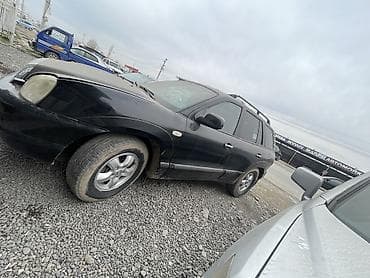афто аксессуары: Hyundai Santa Fe: 2004 г., 2 л, Автомат, Дизель, Кроссовер — 3