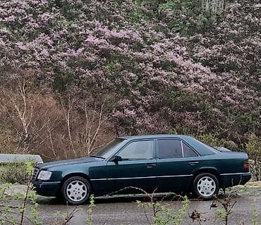 Mercedes-Benz W124: 1994 г., 2.2 л, Механика, Бензин, Седан
