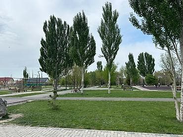 jack 4: 1 комната, Собственник, Без подселения, С мебелью частично — 7