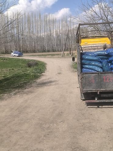 пиявка бишкек: Силос — 3