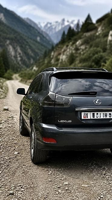 Lexus RX: 2005 г., 3.3 л, Вариатор, Гибрид, Кроссовер — 2